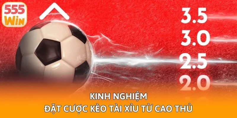 Kinh nghiệm đặt cược kèo tài xỉu từ cao thủ