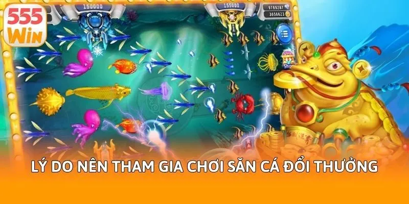 Lý do nên tham gia chơi săn cá đổi thưởng