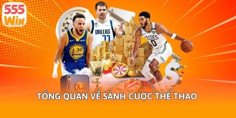 Tổng quan về sảnh cược thể thao 